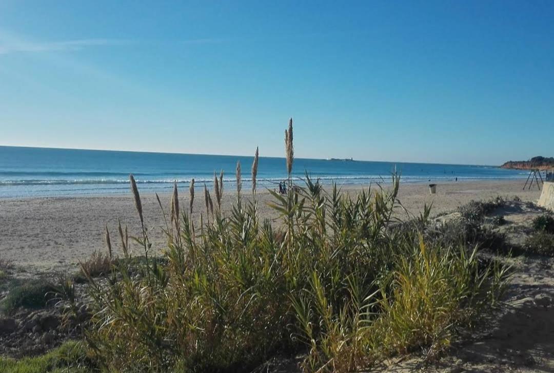 Apartamento Novo ,Chiclana Apartment Chiclana de la Frontera Bagian luar foto
